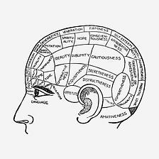 Shades of Gray: Towards a New Way of Categorizing Psychiatric Illness