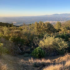 My Father, the Condor Man — Part 1