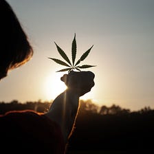 How to push the cannabis agenda in Asia (especially Taiwan)?