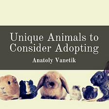 Unique Animals to Consider Adopting