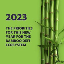 2023 — Priorities for this new year for the Bamboo DeFi ecosystem