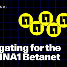 L1 Education Series: Delegating for the LAMINA1 Betanet