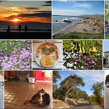 Addicted to Flickr After Taxes and Can’t Stop Posting