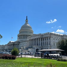 Are We Really A Democracy, If Not All Voices Are Heard?