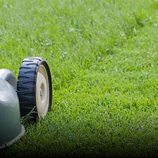 How Lawnmower Leadership is Hurting You and Your Organization