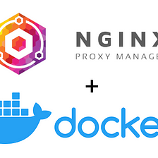 Run many domain apps easily with Docker & Nginx Proxy Manager — Part 1