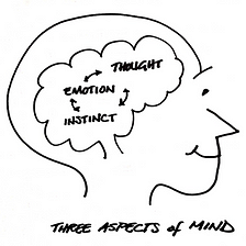 The 3 Aspects of Your Mind That Help Structure Self Reflection