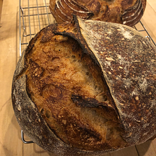 On Expertise, Mistakes, and Baking Bread