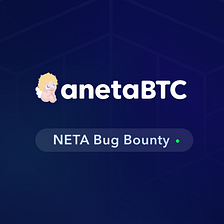 NETA Bug Bounty