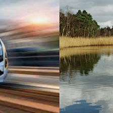 White People: The Speeding Train or the Pond?