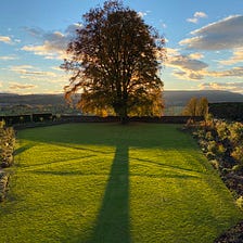 Sun Behind Trees