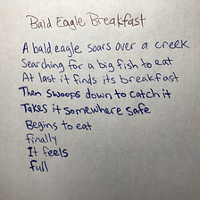 Bald Eagle Breakfast