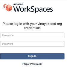 Using AWS WorkSpace To Access Internal Resources