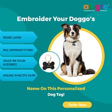 Augie’s Custom Name Tag For Dogs & Cats