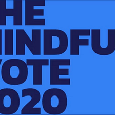 MINDFULNESS | 2020 ELECTION | MEDITATION