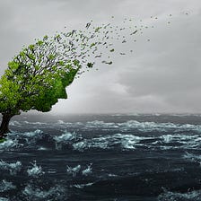 Examining the connections between climate change impacts and mental health