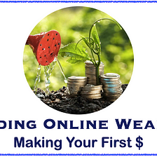Building Wealth Online #1: Making Your First $!
