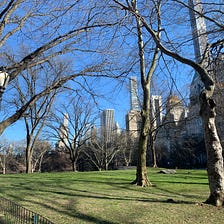 Una acordeón en el Central Park