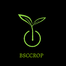 BSCCROP: Business Services Ecosystem Built on the Binance SmartChain