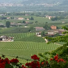 Sightseeing along the Strada del Prosecco