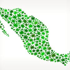 What Does Mexico Decriminalizing Cannabis Mean for the United States?