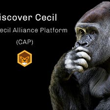 Discover Cecil - Part 3: The Cecil Alliance Platform (CAP)