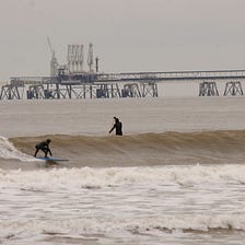 Restoring the Harbour: A Healthier Home for Fish and Cleaner Waves for Surfers