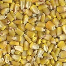 №2 Yellow Corn: The Most Successful Ecosystem Service Market