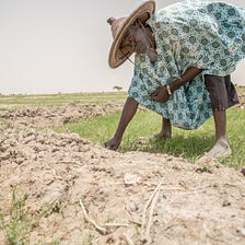 Three words shaping climate action for the World Food Programme