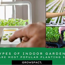 Different types of indoor gardens — These are the most popular indoor planting systems