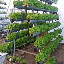VERTICAL FARMING: A source of hunger elimination