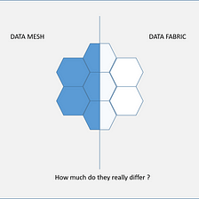 What is a Data Fabric ?