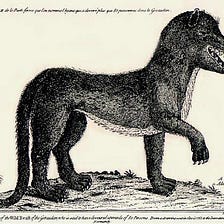 The Beast of Gévaudan — a mysterious creature that attacked hundreds of people