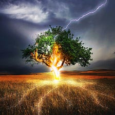 The Storm