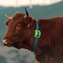 Smart Livestock Tracking Powered by Satellite IoT