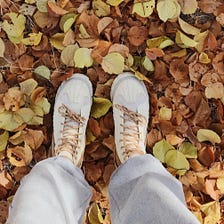 Embracing Autumn’s Arrival: The P￼ower of Now