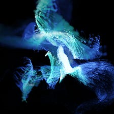 Meta-curse: A dissenting opinion on the Metaverse