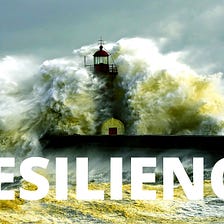 Making Resilient Companies by Making Resilient Employees
