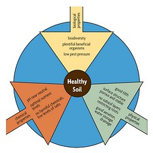 AgTech Startups — Let’s keep biologicals from being a dessert topping and a floor wax!