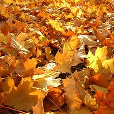 Autumn Day by Rainer Maria Rilke