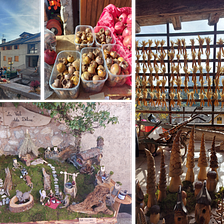 Fantastic Sagras and where to find them