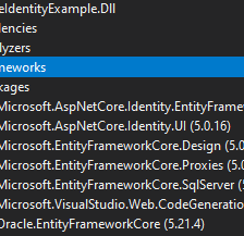 .NET 5.0, ORACLE, ASP.NET Identity with N-tier architecture-Part 03