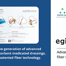EGIDERMA: advanced textured fiber dressing