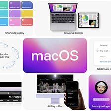 Intozoom – Medium
