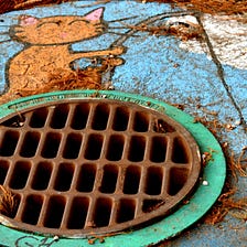 Puppy Trapped in Storm Drain