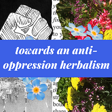 Towards an Anti-Oppressive Herbalism