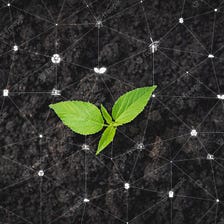 The Potential of Blockchain for Environmental Sustainability