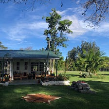 Slowing Under the Acacia Tree