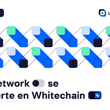 WhiteBIT Network cambia su nombre a Whitechain y comparte actualizaciones importantes
