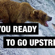 Going Upstream